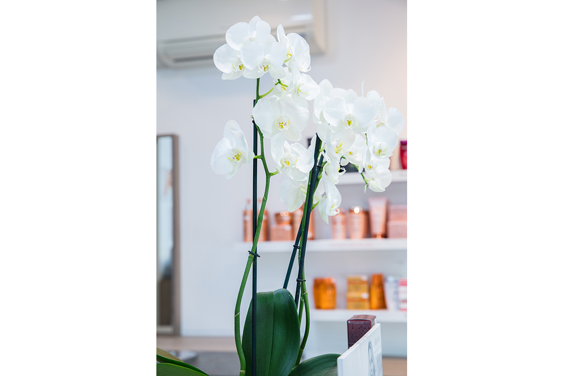 Sceaux Christian Gilles Paris